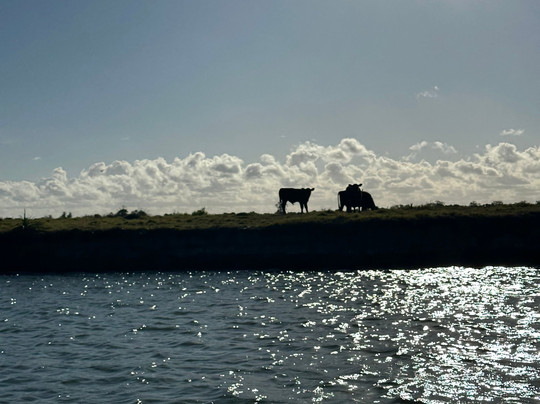 Monte de Ombues-Rocha必去景点