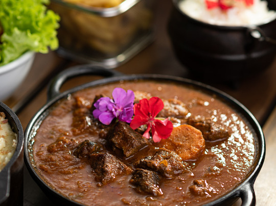 Zaandam Balneário Camboriú