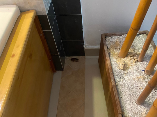 Hotel Villeta Suite主图