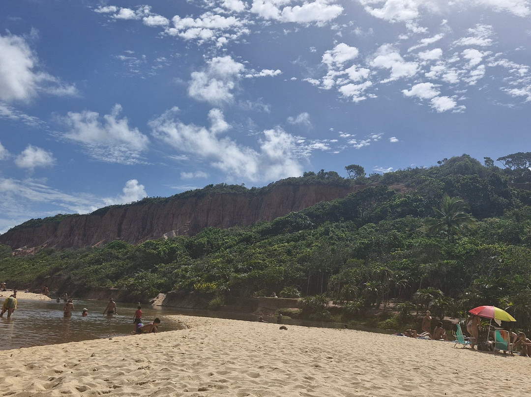 Pitinga Beach-Arraial d'Ajuda必去景点