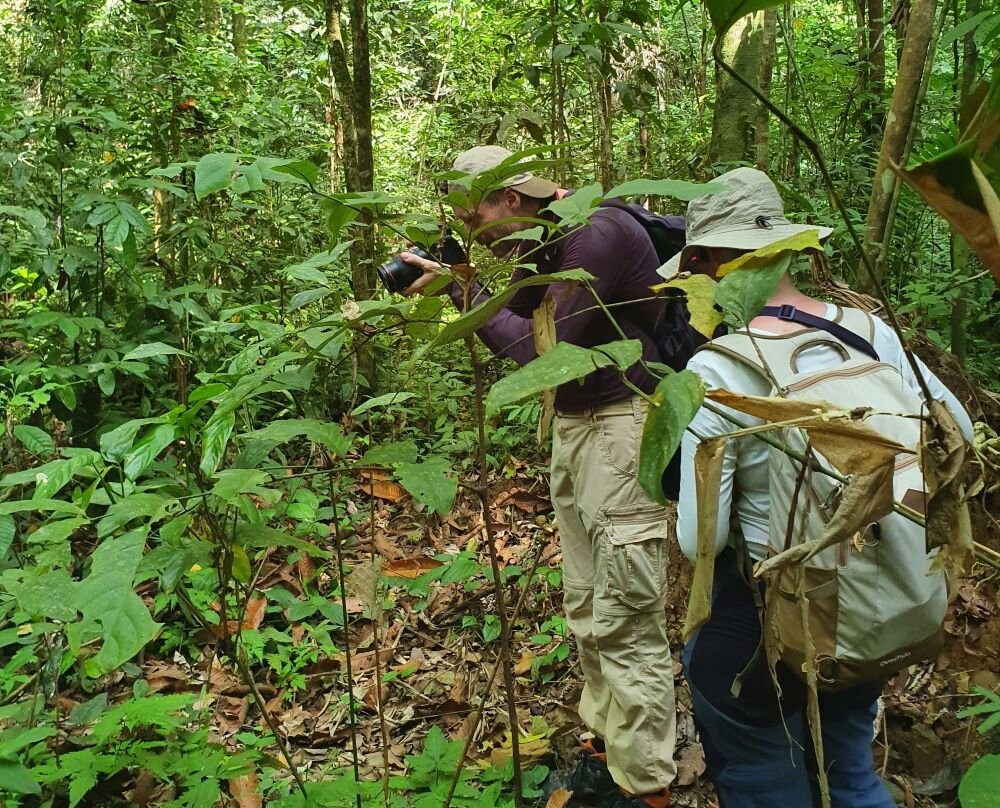 Ujung Kulon Tourism-Carita必去景点