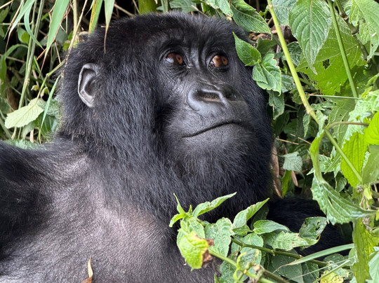 Beyond The Hills Tours-吉佳利必去景点