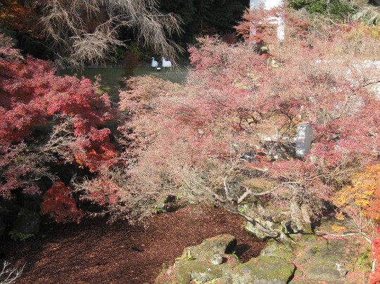 Asahi Beer Oyamazaki Villa Museum of Art-大山崎町必去景点