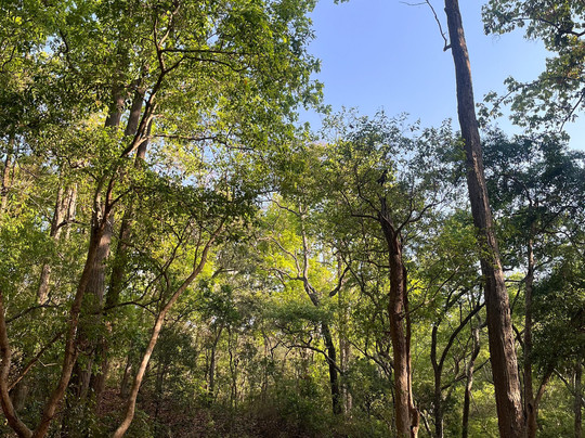 Jim Corbett National Park-Ramnagar必去景点