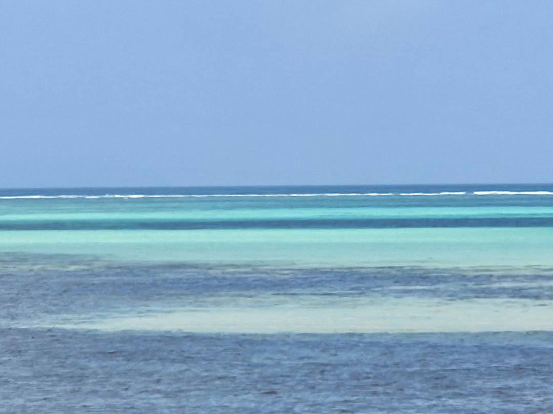 Unlimited Expeditions - The Soul Of Tanzania-阿鲁沙必去景点