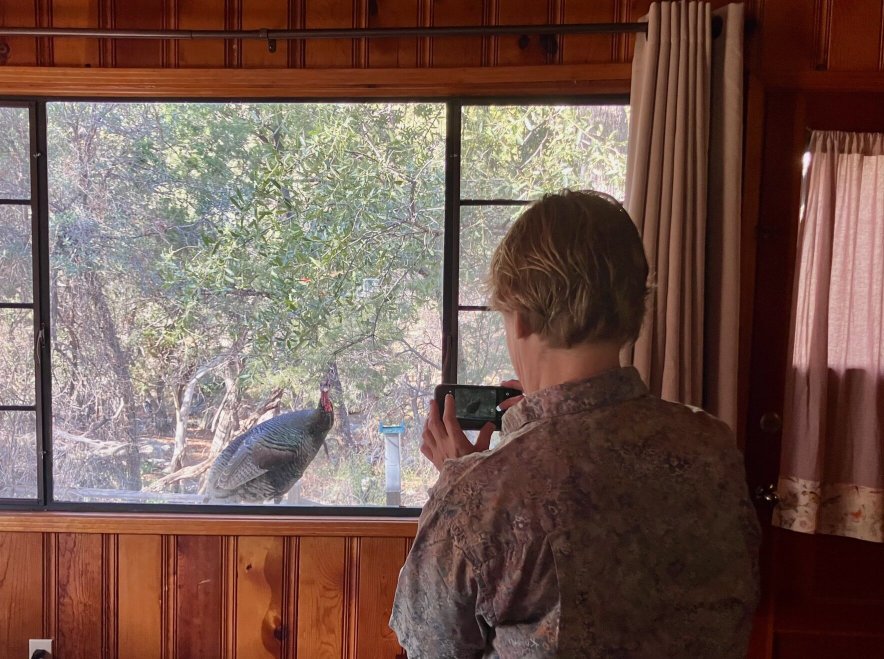 Santa Rita Lodge-酒店景观