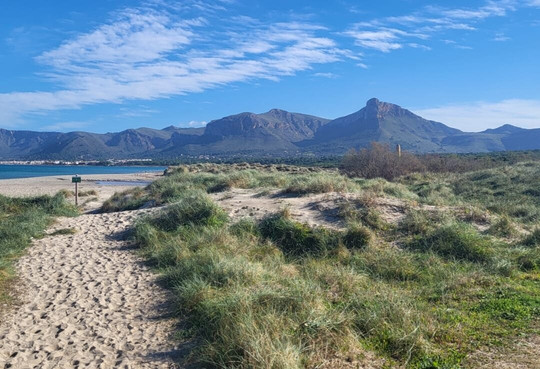 Son Serra de Marina Beach-Son Serra de Marina必去景点