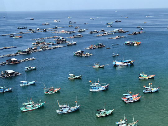 Amega Tour and general trading company limited-河内必去景点