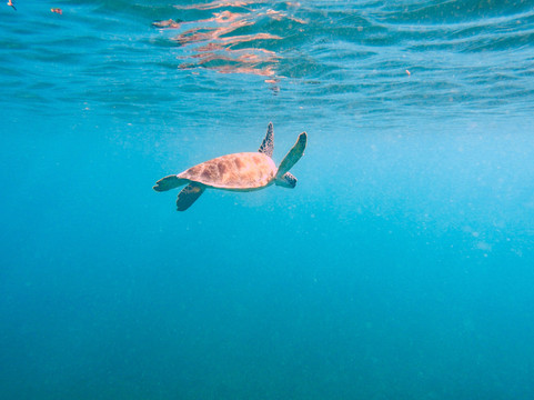 Crystal Clear-维切克岛必去景点