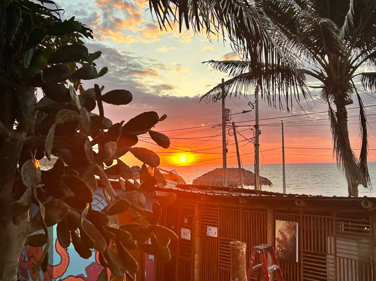 Donkey Den Guesthouse主图