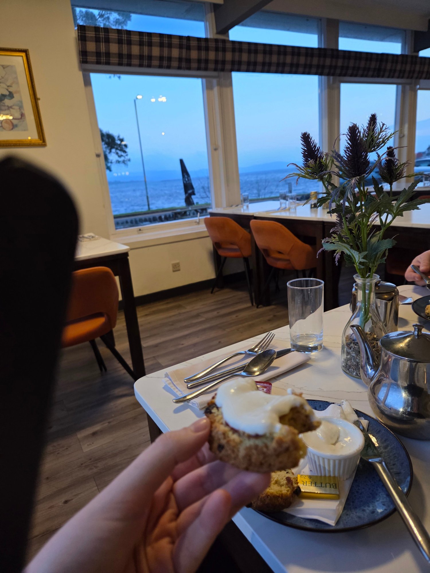 The Grey Gull Hotel-官方