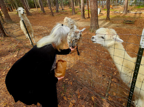 Redemptive Love Farm-Miccosukee必去景点