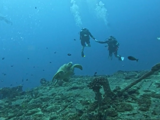 Trident Adventures-火奴鲁鲁必去景点