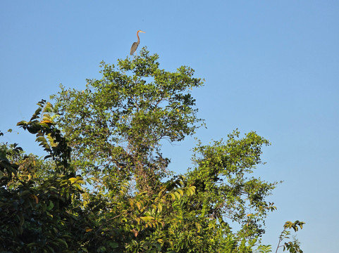Chinuka Lagoon Safari-美蕊沙必去景点