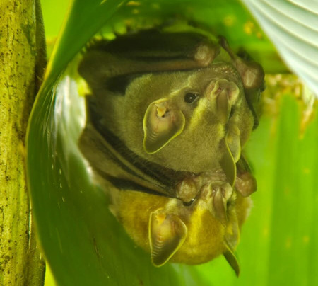 Picolina Tours-德雷克湾必去景点