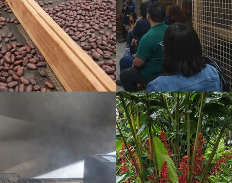 Witoca-Loreto必去景点