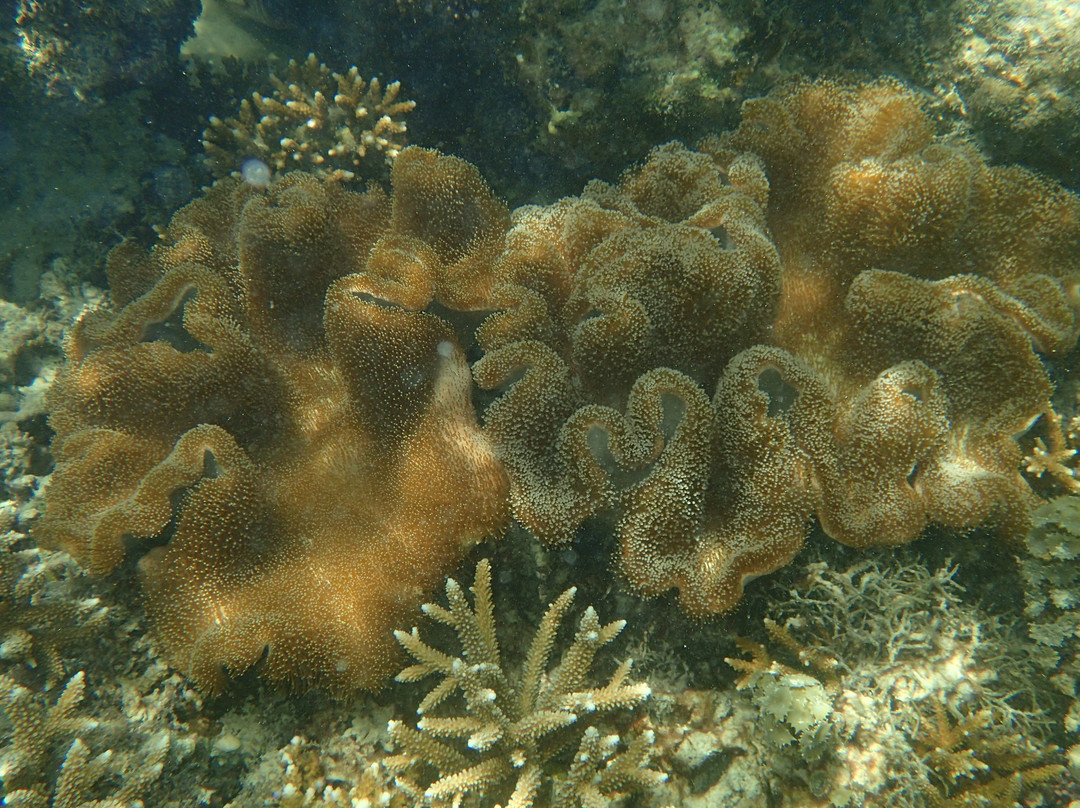 Spiaggia di Port Launay-Port Glaud必去景点