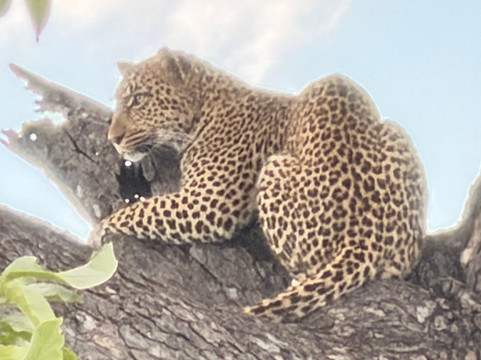 Hylton Langley Safaris-霍德斯普鲁特必去景点