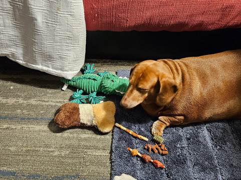 Hampton Inn Pleasant View主图