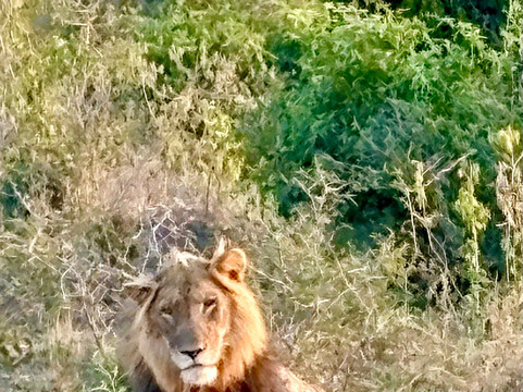 Piece of Uganda Safaris-恩德培必去景点
