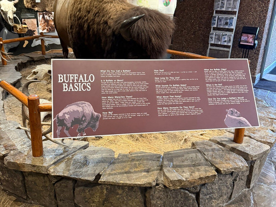 Bison Range-Moiese必去景点