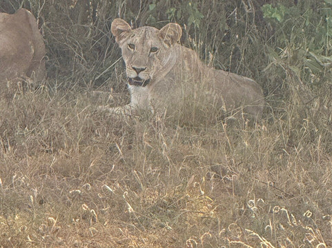 Discovery Kenya con Fragola-瓦塔木必去景点