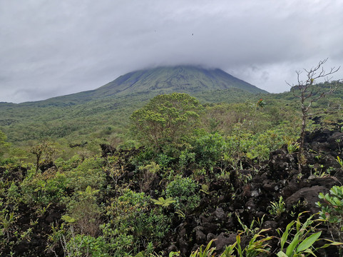 Neotropic Wildlife Expedition-福德圣卡洛斯必去景点