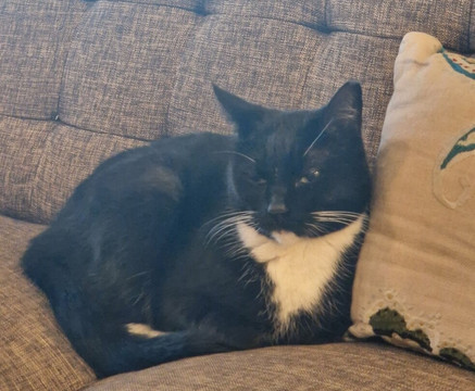 Das Hotel Ostseeblick主图