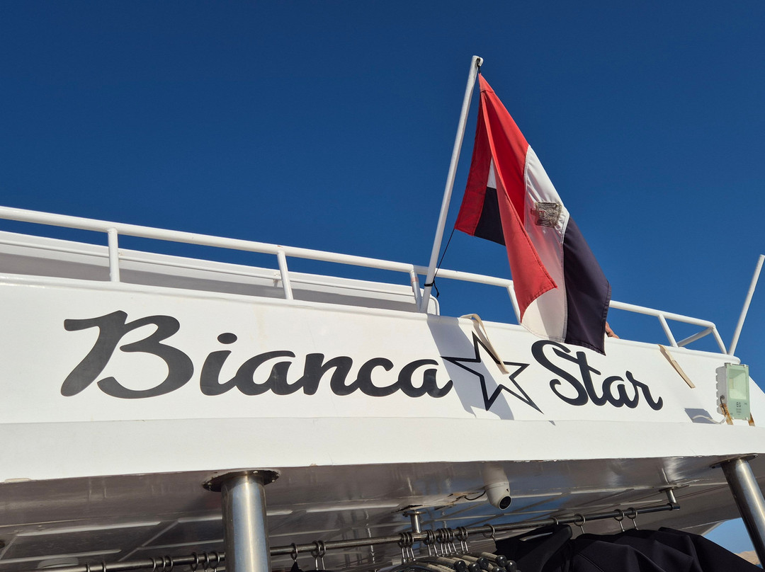 Red Sea Horse Diving-Hurghada 1必去景点