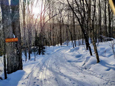 Garnet Hill Lodge主图