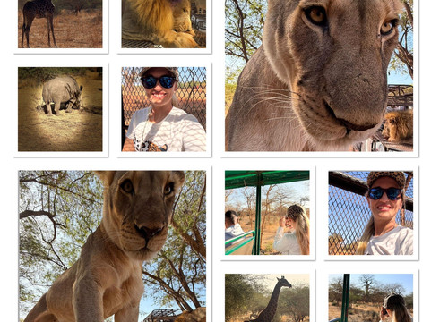 Riu Baobab Trip Travel-Nianing必去景点