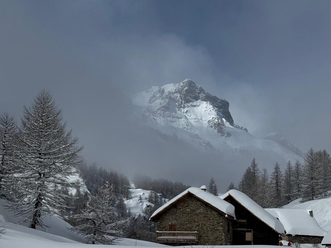 何小屋酒店主图