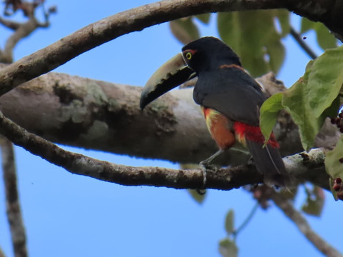 Trips Panama-巴拿马城必去景点