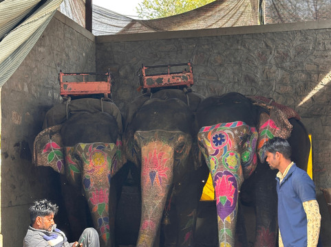 Elefun-斋蒲尔必去景点