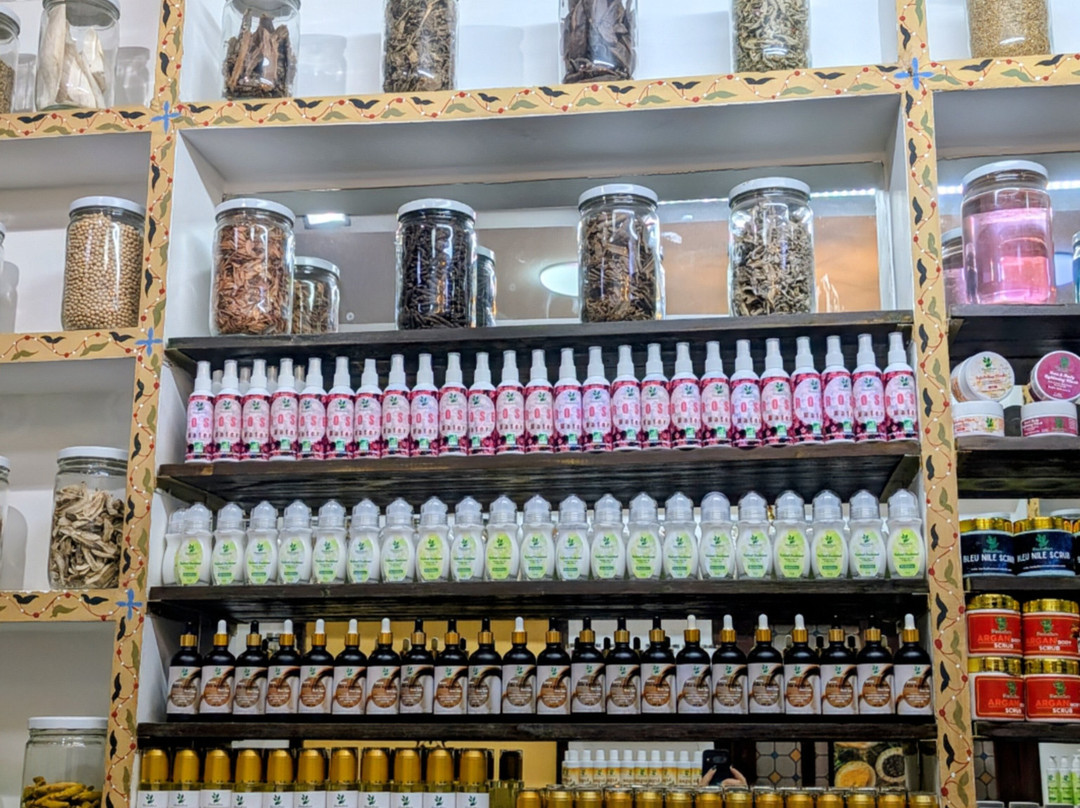 Herbalism Marrakech-马拉喀什必去景点