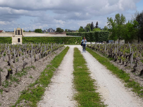 Château Pichon Longueville Comtesse de Lalande-波亚克必去景点