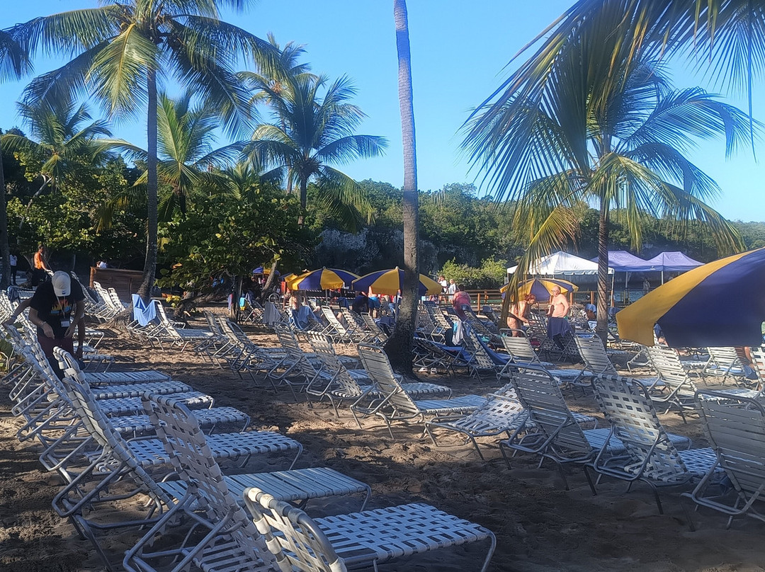 Isla Catalina La Romana-拉罗马纳必去景点