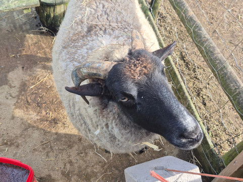 Wroxham Barns-Hoveton必去景点