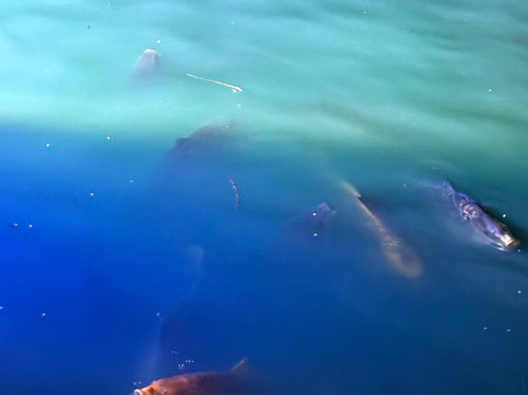 Halloweenville-Culcheth必去景点