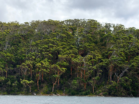 Wow Wilderness Ecocruises-沃泊尔必去景点