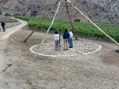 Alcohuaz Vineyards-Coquimbo必去景点