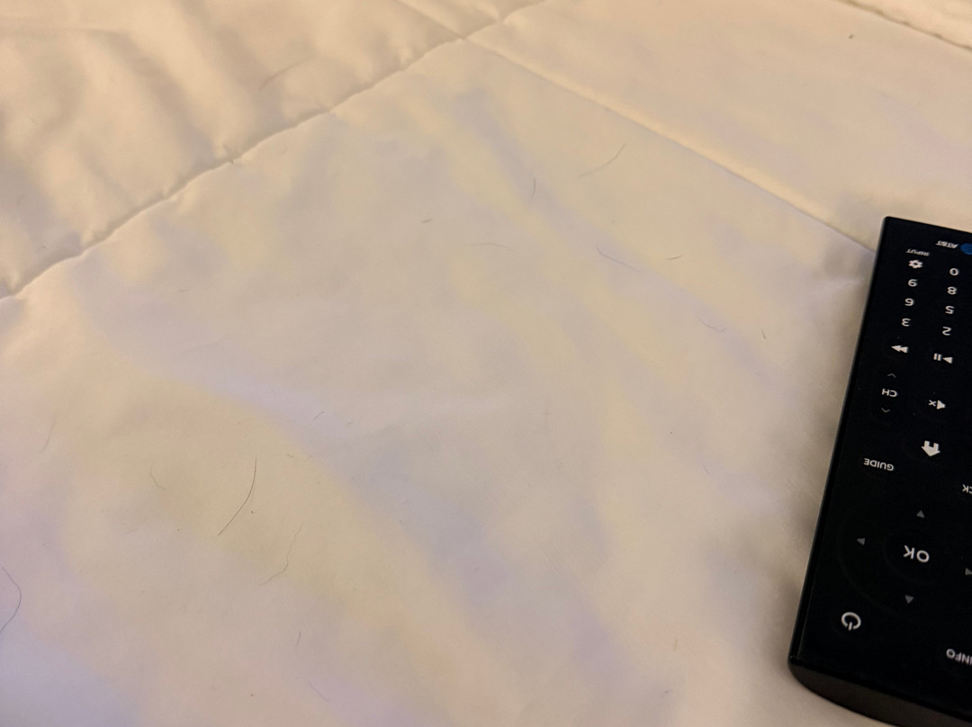 布朗伍德拉昆塔温德姆套房酒店主图