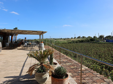 Tenuta Palmeri-Avola必去景点