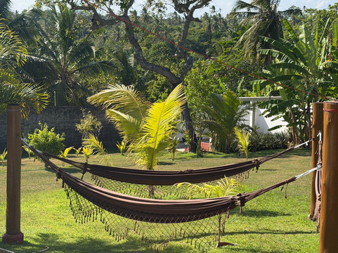 Ayahuasca Retreat Brazil-Abrantes必去景点