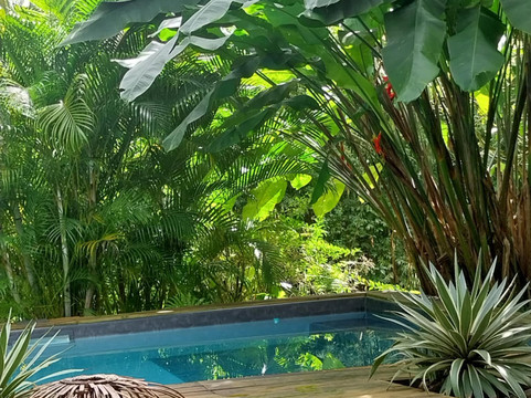 Aponi Massages Bien-être Et Spa-Goyave必去景点