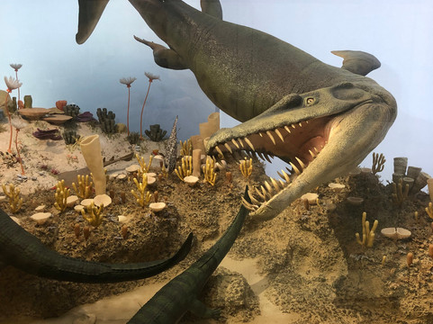 Naturkunde Museum Stuttgart-斯图加特必去景点