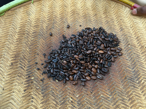 Mangalia Waterfalls-阿鲁沙必去景点