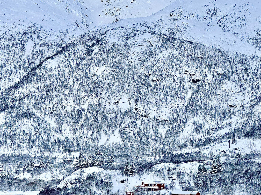 Austnesfjorden-斯沃尔韦尔必去景点