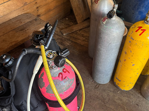 Buceo Canelillo-Algarrobo必去景点