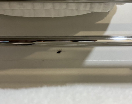 帆船酒店-美溪海滩主图